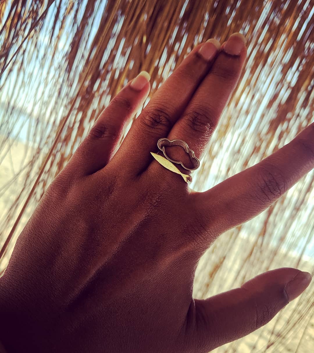 Fish Ring, Keep Swimming