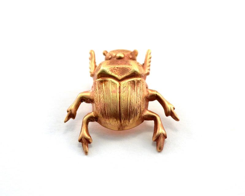 products/scarab-pin-beetle-bug-wedding-favours-01.jpg