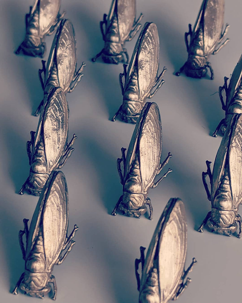 products/An_Army_of_Cicadas.jpg