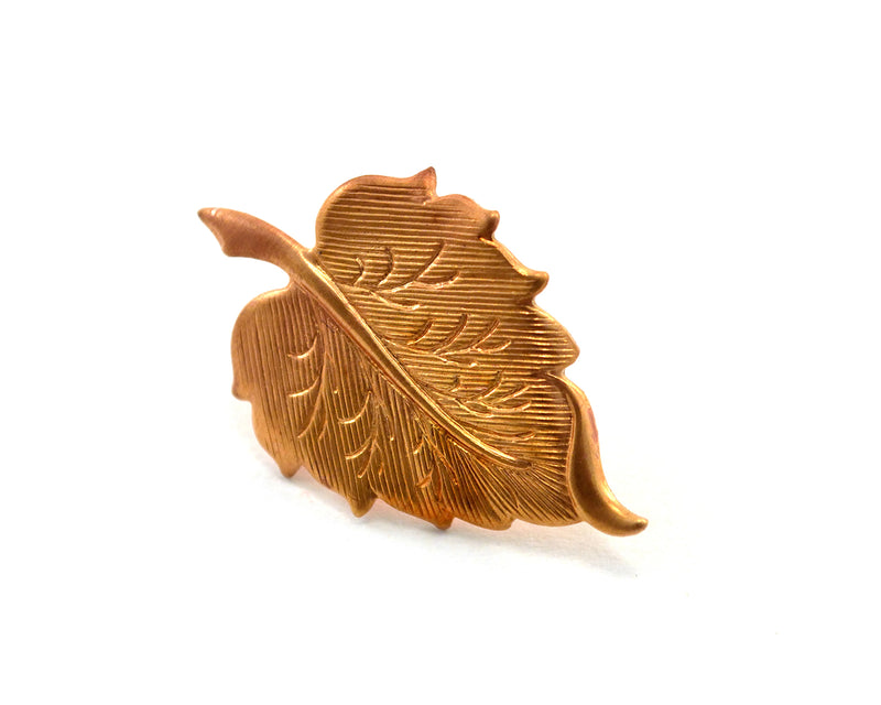 products/autumnal-leaf-pin-nature-lover-gift-07.jpg