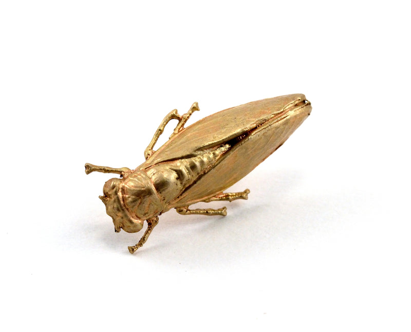 Cicada pin on sale