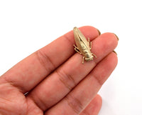 Cicada Pin