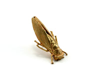 Cicada Pin