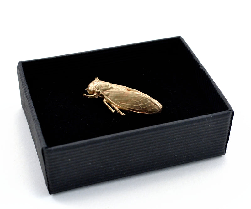 products/cicada-pin-04.jpg