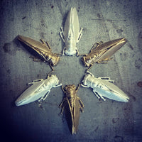 Cicada Pin