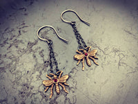 Insect Earrings, Bug Jewellery, Entomology