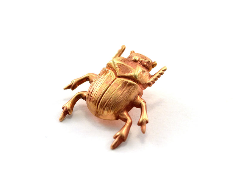 products/scarab-pin-beetle-bug-wedding-favours-00.jpg