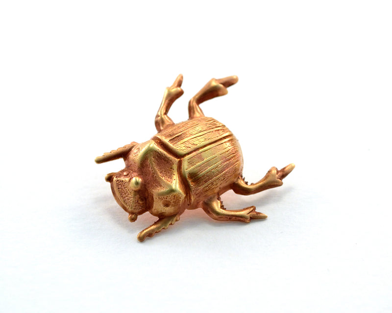 Scarab Gold Beetle Earrings Insect Studs Solid Brass Gold 